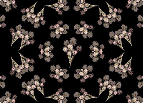 Trifolium stellatum kaleidoscope,
common name: star, lantern, lanterns, hopo de caprillas, jopo de zorra, trebulo, starry trefoil, clover, starry clover, trebulo, 