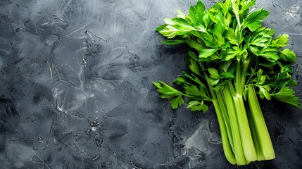 Fresh green celery on dark background.