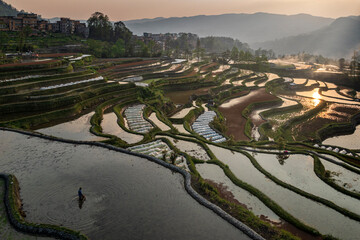Aerial view of Yuanyang rice terraces filled with water in Yunnan - China, Unesco World Heritage...