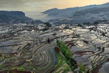 Aerial view of Yuanyang rice terraces filled with water in Yunnan - China, Unesco World Heritage...