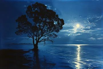 Foto op Plexiglas a tree in water at night © Gheorghe