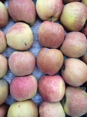 Apple fruit