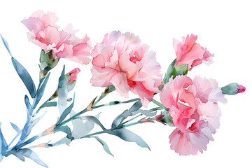 チューリップの花（水彩画）