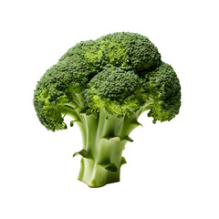 Fresh broccoli isolated photography transparent background