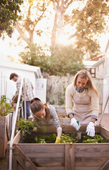 Learning, happy mother and child in garden with plant, helping or family together outdoor in...