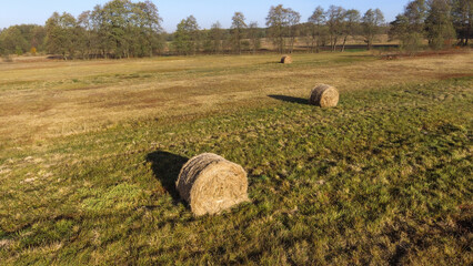 fresh bale of hay in the field