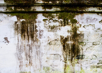 Naklejka premium Hi res grunge background and texture