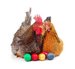 Two chickens and easter eggs. - 765508784