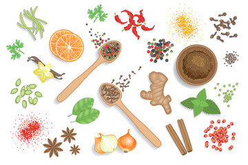 Vector illustration of a top view of a set of spices and seasonings for cooking. View from above. Cardamom, cloves, ginger, orange, pepper, mint, onion, basil. - 765511730