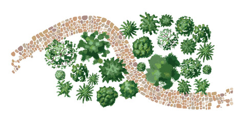 Top view vector illustration of green trees and plants with the rocky path. Landscape design. Park, outdoor, backyard. View from above.