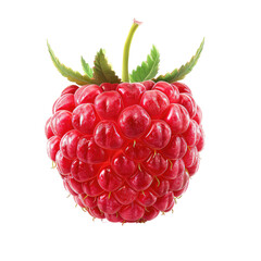 Raspberry isolated on transparent background