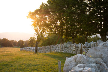 Steinmauer mit Bäumen im Morgenlicht