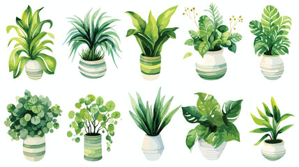 Fototapeta na wymiar Watercolor home plants illustrations Home gardening