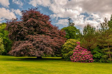 Ireland, The Muckross House in Killarney. LR24
