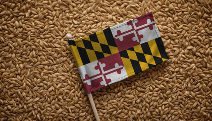 Fototapeta na wymiar Maryland flag on a background of wheat grain. Concept of grain deal and world food security. Texture or backdrop