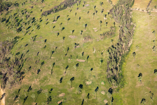 Aerial view of land in South East Queensland