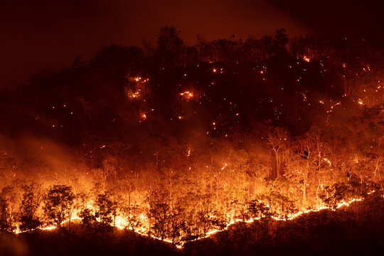 Bushfire at Night