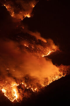 Bushfire at Night