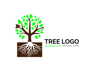 Tree shape logo template,Flat design family tree silhouette,Green eco tree,Hand drawn tree life in brown shades,