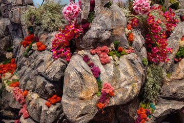 Background of stones and flowers
