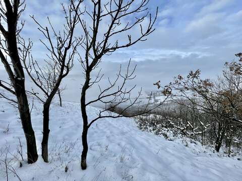 Winter landscape near Radobyl hill, Czech Republic