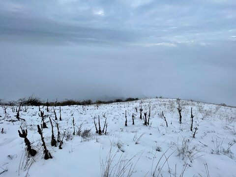 Winter landscape near Radobyl hill, Czech Republic