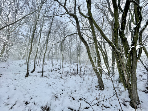 Winter landscape near Radobyl hill, Czech Republic