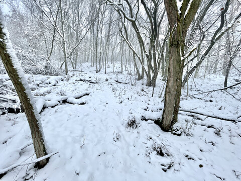 Winter landscape near Radobyl hill, Czech Republic