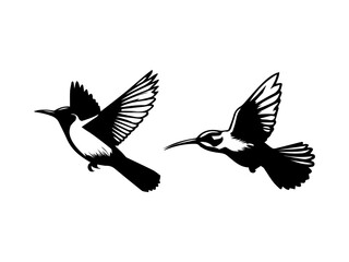 Birds silhouettes collection,Hand drawn animals silhouette set,Set of birds black vector, isolated,
