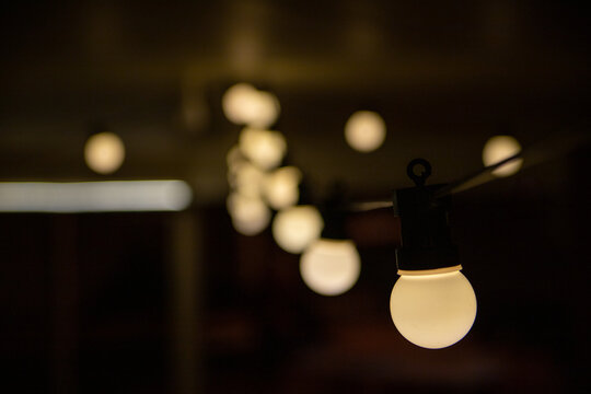 Festoon lights
