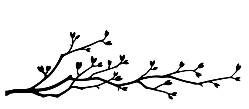 Spring branch