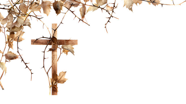 Cross, easter made of wood, leaves, thorns and tree branches on white background, copy space 