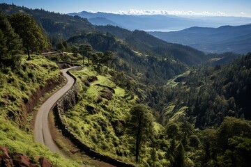 Aerial view of serpentine road winding through verdant summer mountains, scenic top down perspective