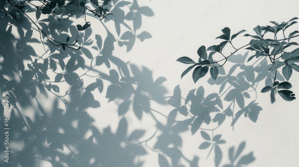 Poster Tree shadow casting on a wall, suitable for background use