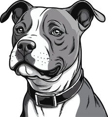 dog mascot vector 