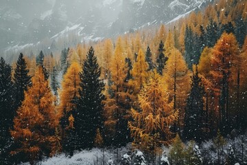 A dense forest with numerous trees covered in a blanket of snow, creating a winter wonderland scene - Powered by Adobe