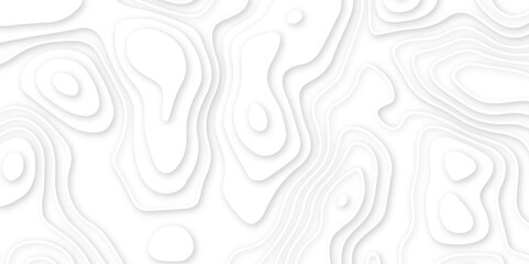 Abstract white paper cut background with line. 3d topography relief. Vector topographic illustration.   realistic papercut decoration textured with wavy layer and shadow. seamless pattern wave design. - obrazy, fototapety, plakaty