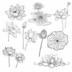 Sketch set lotus flower black lines © Sakonwan