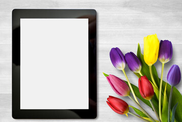 Tablet and colorful tulip flower on white wood table background.