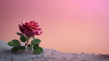  Pink rose atop rocky mound in front of pink walls on pink backdrop - optimized for search engines - obrazy, fototapety, plakaty