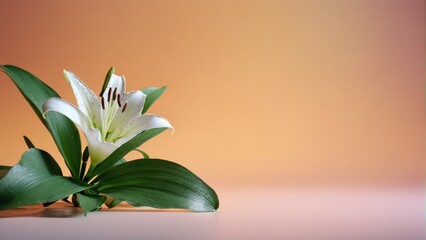 White bloom atop table, flanked by lush foliage below - obrazy, fototapety, plakaty