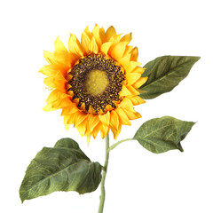 Artificial sunflower flower isolated on white background.