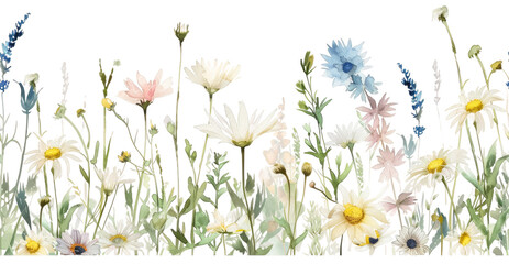 Obraz na płótnie Canvas Illustration of wildflowers in watercolor 
