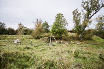 Naturschutzgebiet Pöppelsche Talsystem, Erwitte, Kreis Soest, NRW, Deutschland, 2023