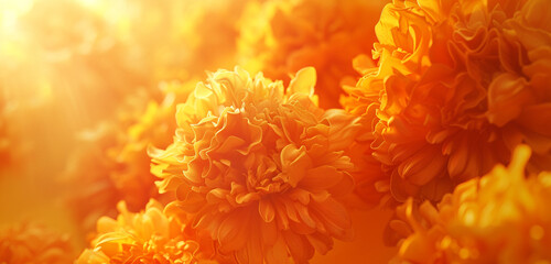 Marigold hues converging dynamically.