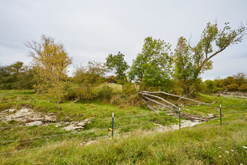 Fototapeta na wymiar Naturschutzgebiet Pöppelsche Talsystem, Erwitte, Kreis Soest, NRW, Deutschland, 2023