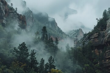 A mountain shrouded in fog, with trees and rocks visible in the misty atmosphere