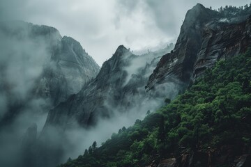 A mountain peak obscured by dense clouds with a forest of tall trees visible beneath