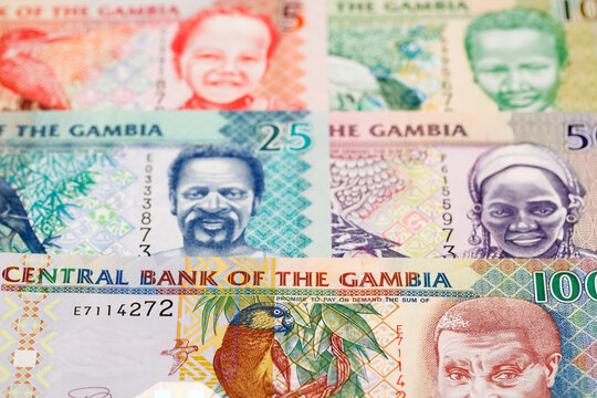 Old Gambian dalasi a business background