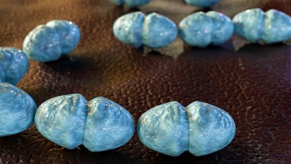 3d rendering of Vancomycin-resistant Enterococcus (VRE) Enterococcus faecalis is a type of bacteria that is resistant to vancomycin